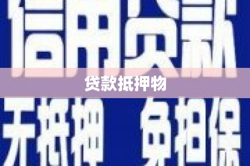 宁南贷款抵押物