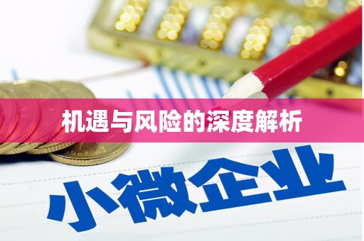 朔城机遇与风险的深度解析