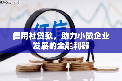 瑶海信用社贷款，助力小微企业发展的金融利器