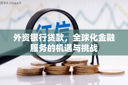 武平外资银行贷款，全球化金融服务的机遇与挑战