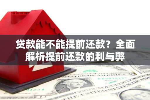 定西贷款能不能提前还款？全面解析提前还款的利与弊