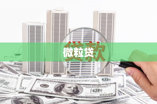 郸城微粒贷