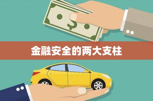 武鸣金融安全的两大支柱