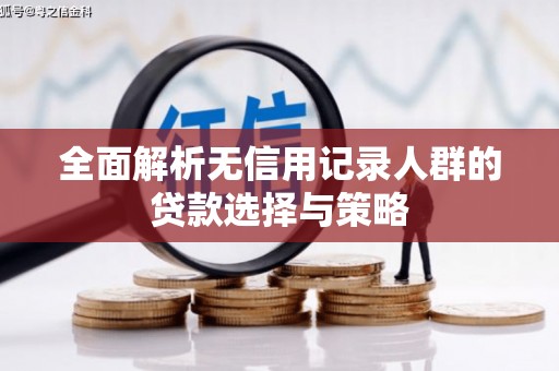 太平全面解析无信用记录人群的贷款选择与策略