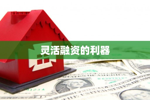 桐城灵活融资的利器