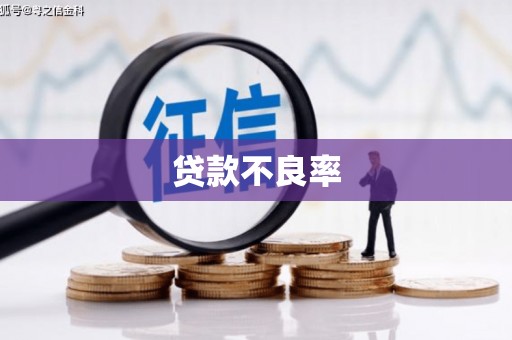 浑源贷款不良率